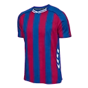 Escudo del FC Barcelona