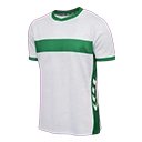 Escudo del Elche CF