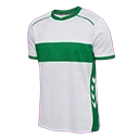 Escudo del Racing